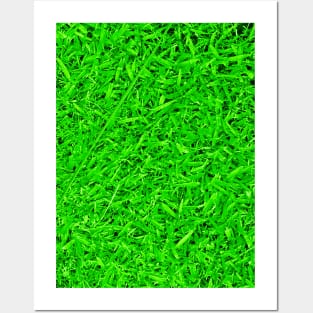 Natural Grass Posters and Art